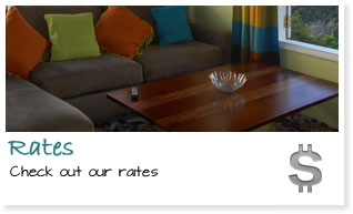 Our Rates